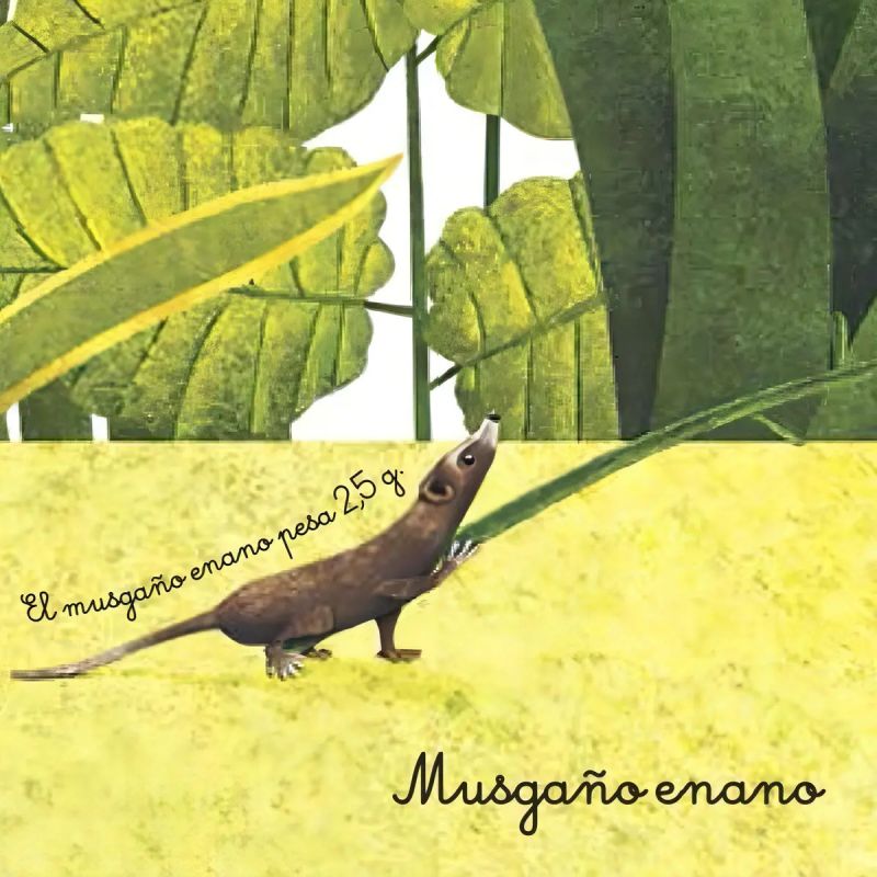 MEGALIBRO DE ANIMALES GIGANTES. MINILIBRO DE ANIMALES PEQUEÑOS - CARTONE ACOLCHADO (Nuevo) - Miniatura 4