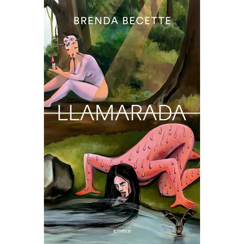LLAMARADA (Nuevo)