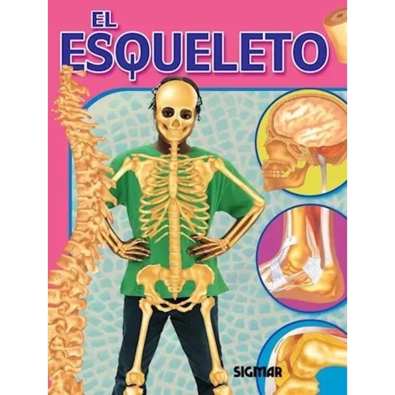 ESQUELETO, EL - CUERPO Y SALUD (Nuevo) - Miniatura 2