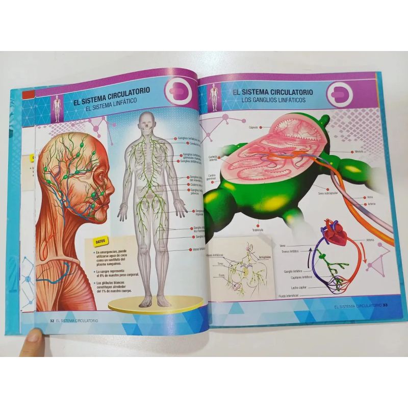 ENCICLOPEDIA DEL CUERPO HUMANO  (TD) CON REALIDAD AUMENTADA (Nuevo) - Miniatura 4
