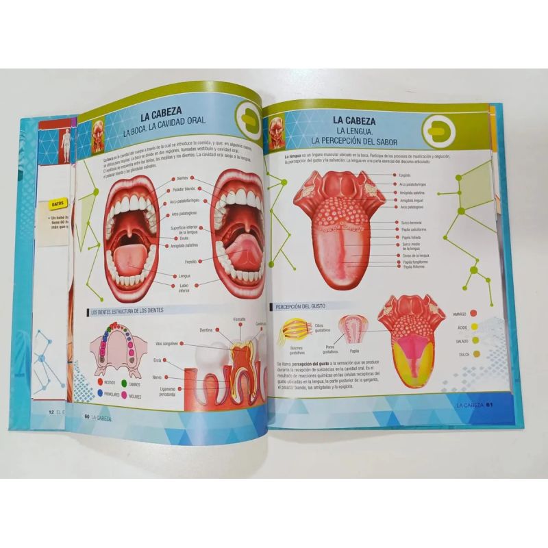 ENCICLOPEDIA DEL CUERPO HUMANO  (TD) CON REALIDAD AUMENTADA (Nuevo) - Miniatura 3