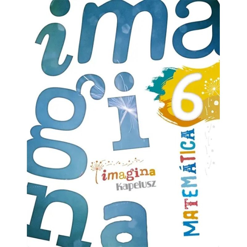 MATEMATICA 6 - IMAGINA (Nuevo)