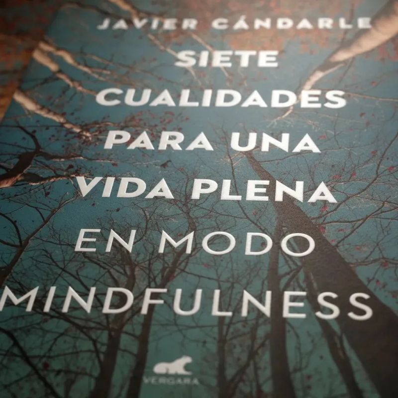SIETE CUALIDADES PARA UNA VIDA PLENA (Nuevo) - Miniatura 5