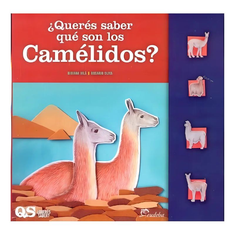 QUERES SABER QUE SON LOS CAMELIDOS? (Nuevo)