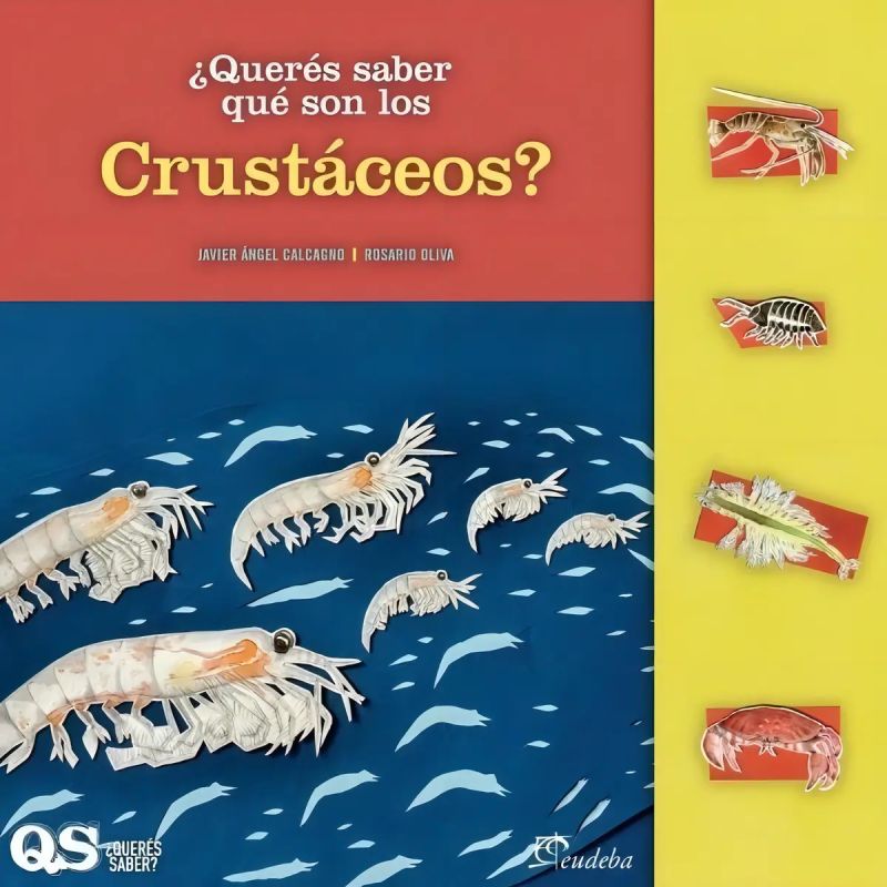 QUERES SABER QUE SON LOS CRUSTACEOS? (Nuevo)