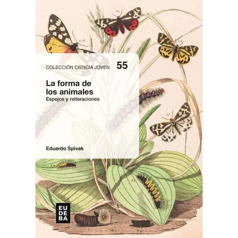 FORMA DE LOS ANIMALES, LA - ESPEJOS Y REITERACIONES (Nuevo)