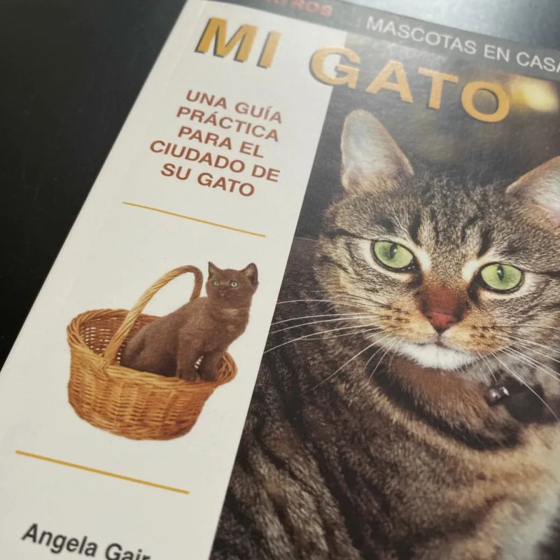MI GATO (Nuevo) - Miniatura 3
