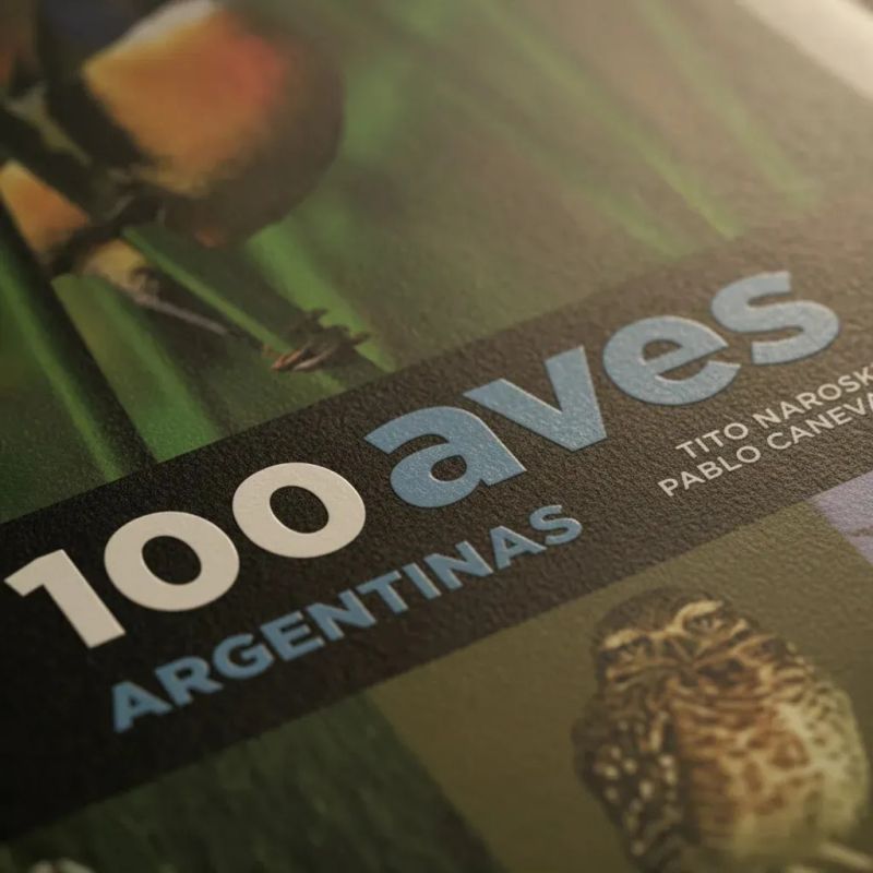 100 AVES ARGENTINAS (Nuevo) - Miniatura 4