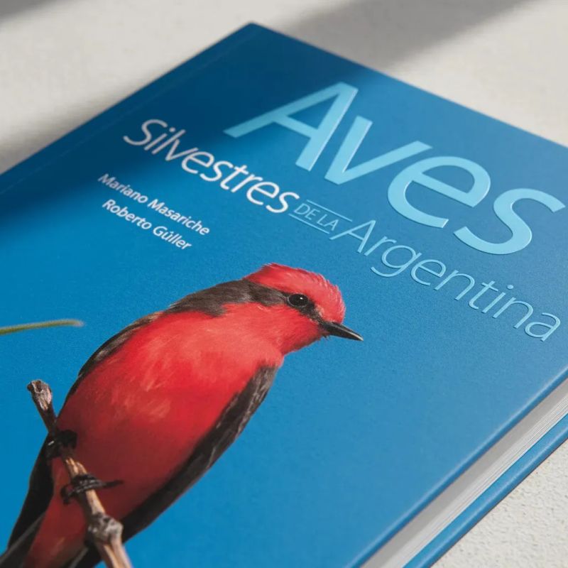 AVES SILVESTRES DE LA ARGENTINA (Nuevo) - Miniatura 3