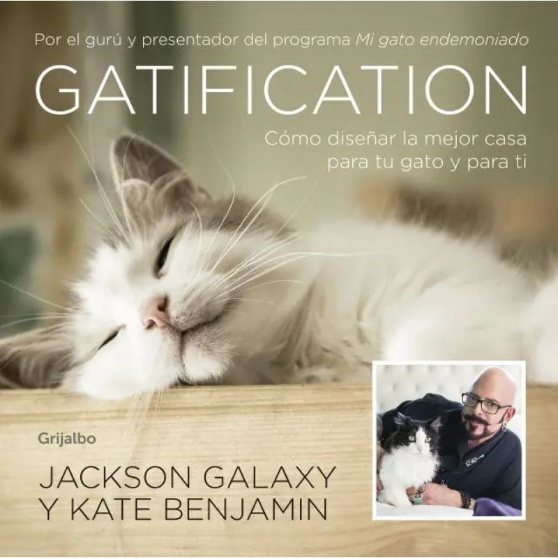 GATIFICATION (Nuevo)