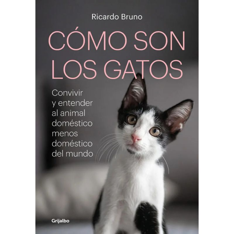 COMO SON LOS GATOS ? (Nuevo)