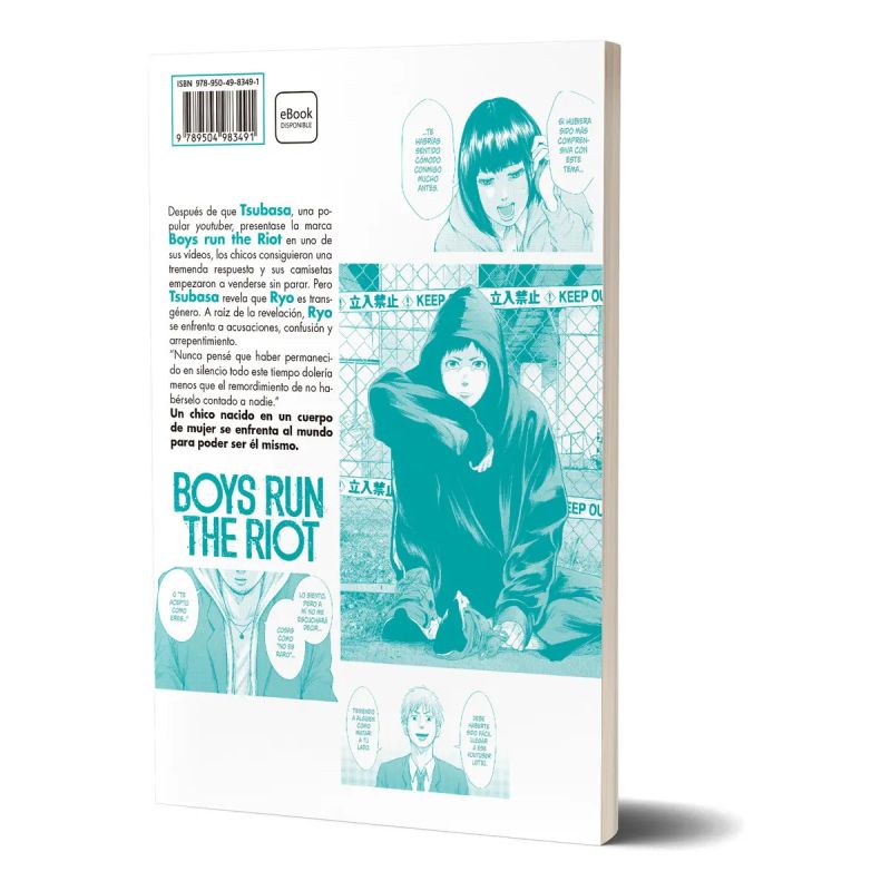 BOYS RUN THE RIOT 3/4 (Nuevo) - Miniatura 3
