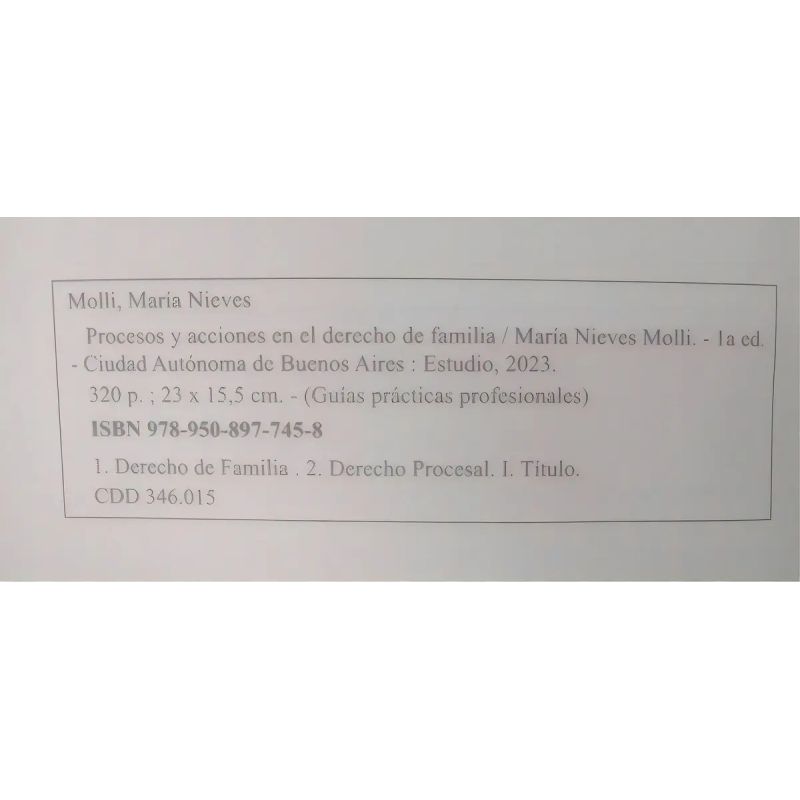 PROCESOS Y ACCIONES EN EL DERECHO DE FAMILIA - GUIA PRACTICA PROFESIONAL CON DESCARGA (Nuevo) - Miniatura 3