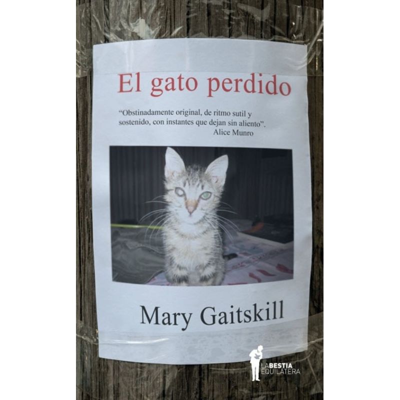 GATO PERDIDO, EL (Nuevo)