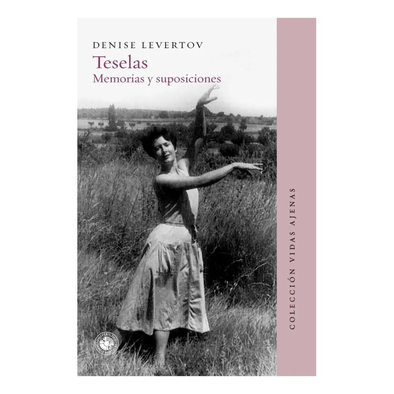 TESELAS - MEMORIAS Y SUPOSICIONES (Nuevo)