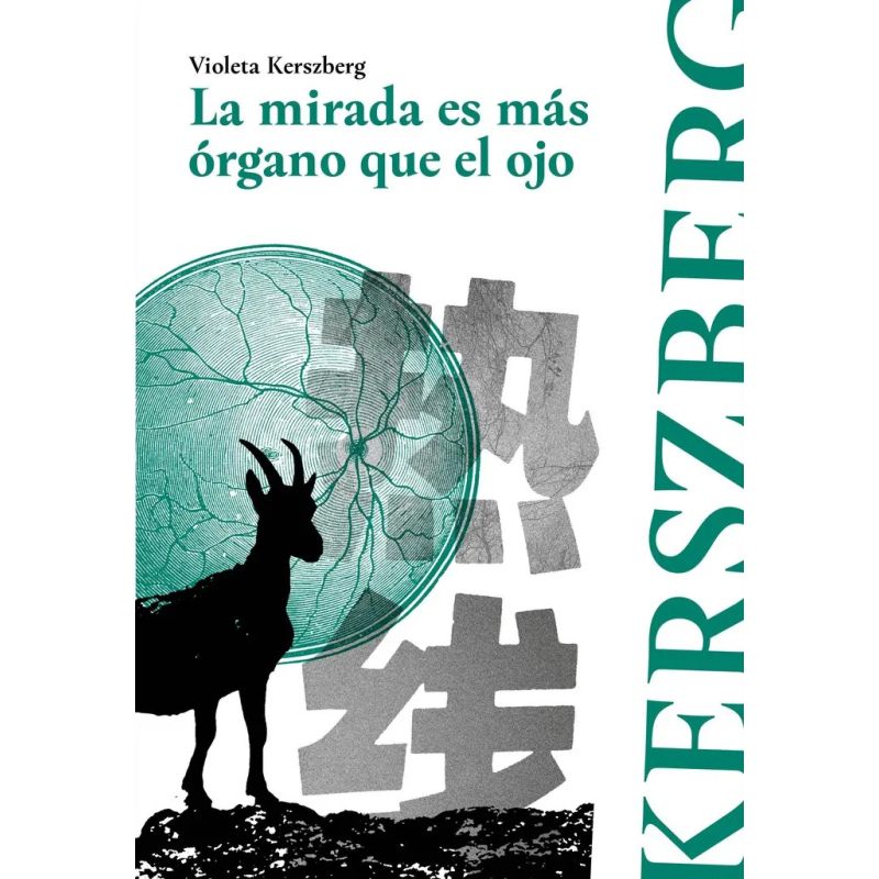 MIRADA ES MAS ORGANO QUE EL OJO, LA (Nuevo)