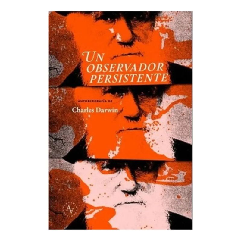 UN OBSERVADOR PERSISTENTE (Nuevo)