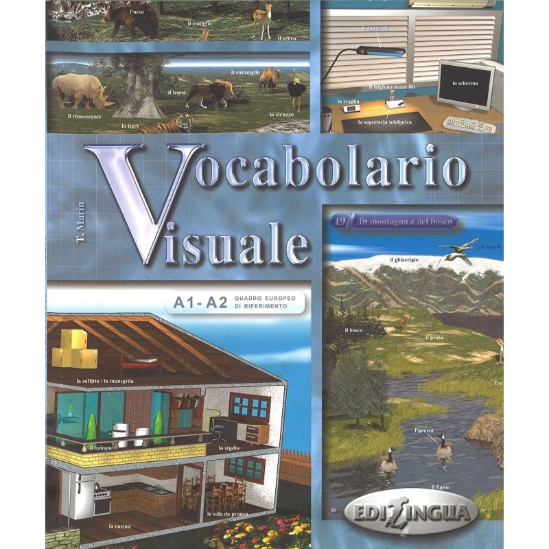 VOCABOLARIO VISUALE (Nuevo)