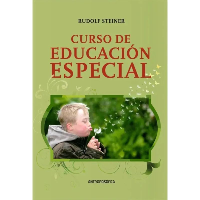 CURSO DE EDUCACION ESPECIAL (Nuevo) - Miniatura 2