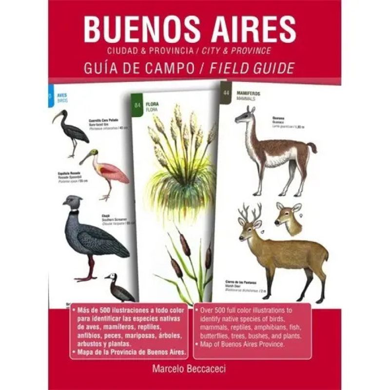 BUENOS AIRES CIUDAD Y PROVINCIA GUIA DE CAMPO ESP/ING (Nuevo)