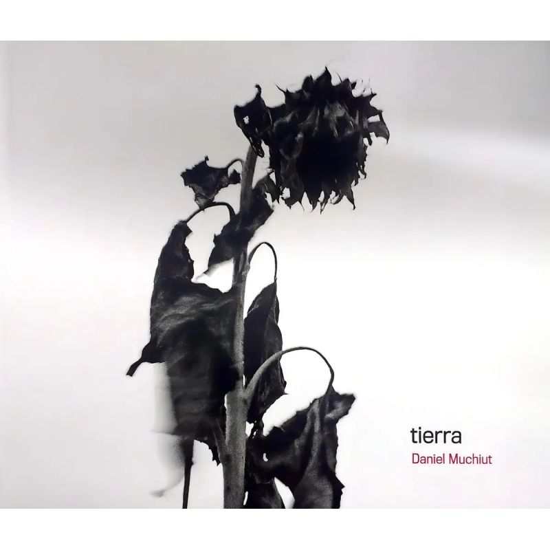 TIERRA - TD (Nuevo)
