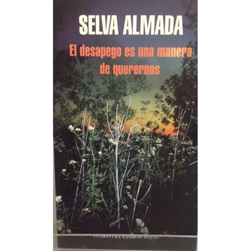 DESAPEGO ES UNA MANERA DE QUERERNOS, EL (Nuevo)
