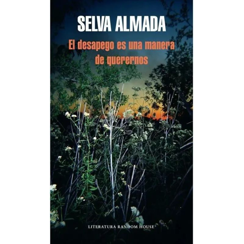 DESAPEGO ES UNA MANERA DE QUERERNOS, EL (Nuevo) - Miniatura 2