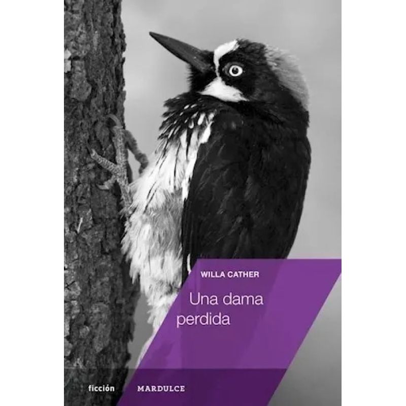 UNA DAMA PERDIDA (Nuevo)