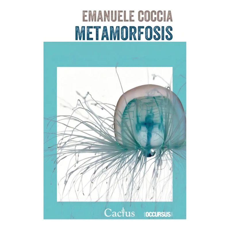 METAMORFOSIS (Nuevo)