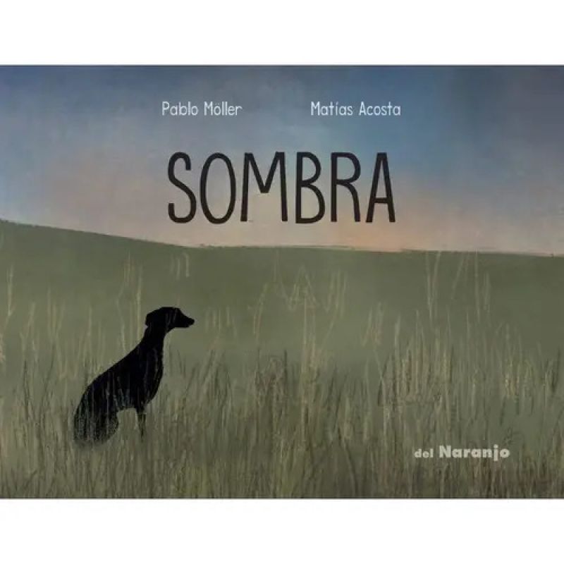 SOMBRA - UN GATO GRIS (Nuevo)