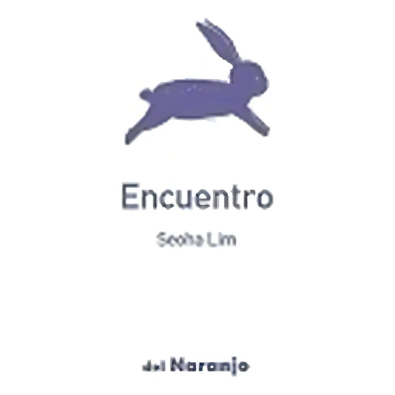 ENCUENTRO - UN GATO GRIS (Nuevo)