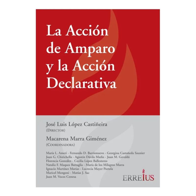 ACCION DE AMPARO Y LA ACCION DECLARATIVA, LA (Nuevo) - Miniatura 2