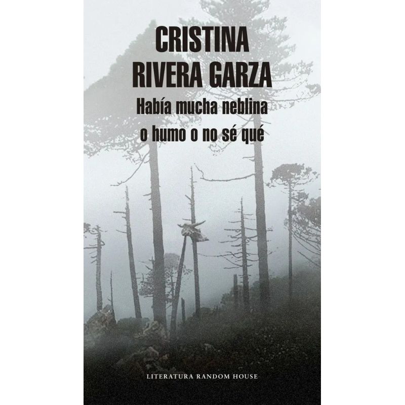 HABIA MUCHA NEBLINA O HUMO O NO SE QUE (MAPA DE LAS (Nuevo)