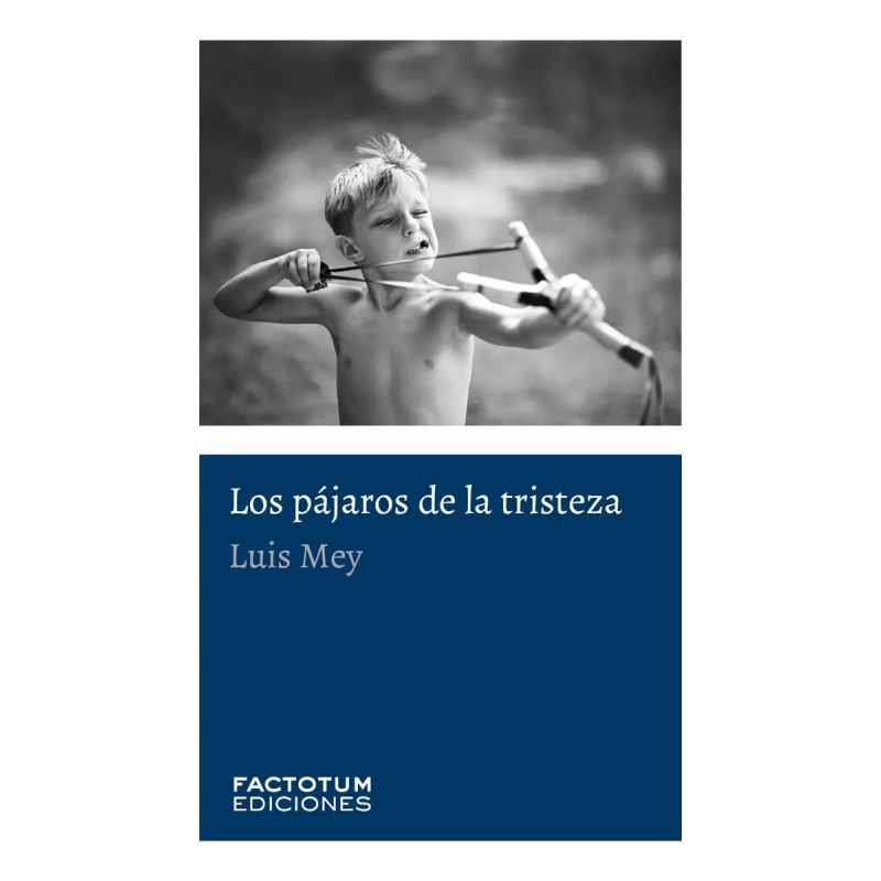 PAJAROS DE LA TRISTEZA, LOS (Nuevo)