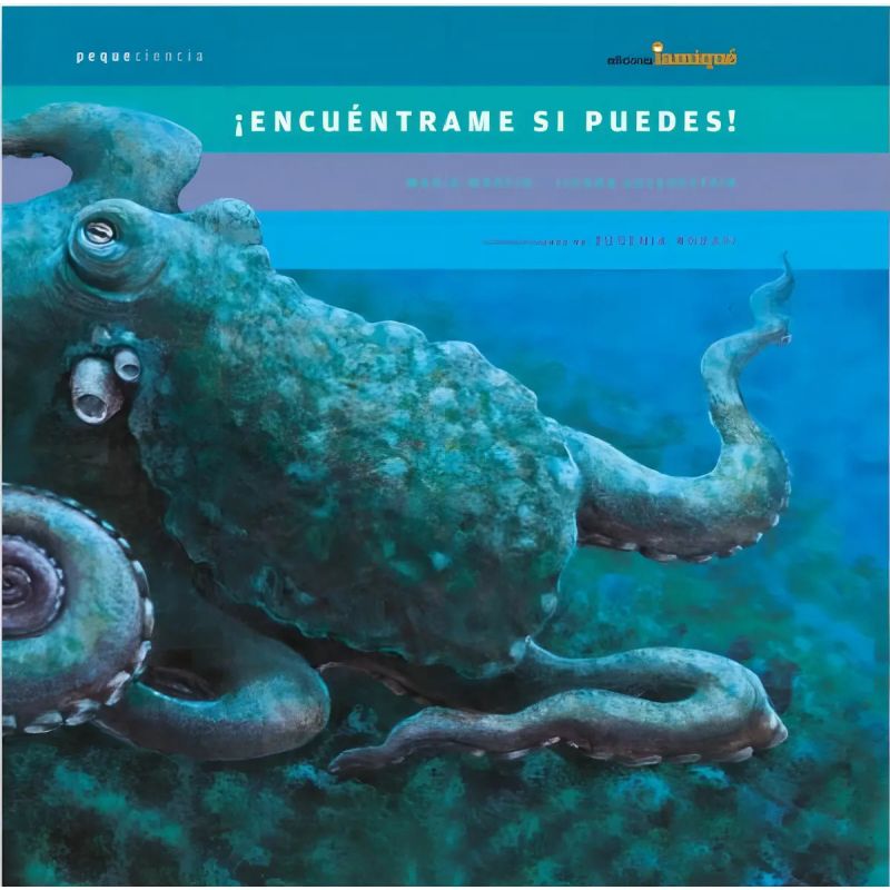 ENCUENTRAME SI PUEDES! (Nuevo)