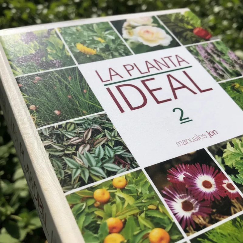 PLANTA IDEAL 2 , LA - MANUALES JARDIN (TD) (Nuevo) - Miniatura 3