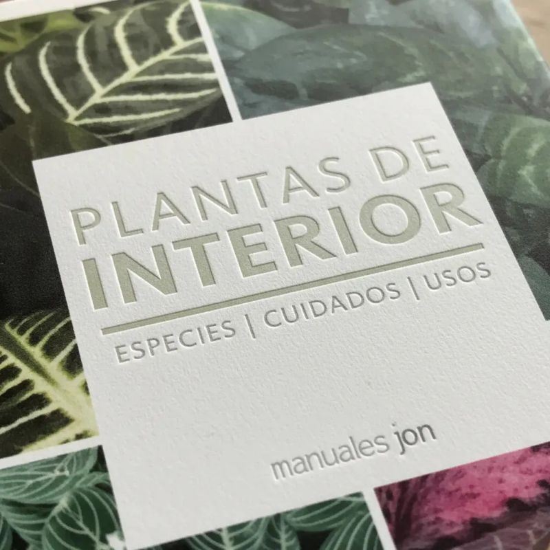 PLANTAS DE INTERIOR - MANUALES JARDIN (Nuevo) - Miniatura 4