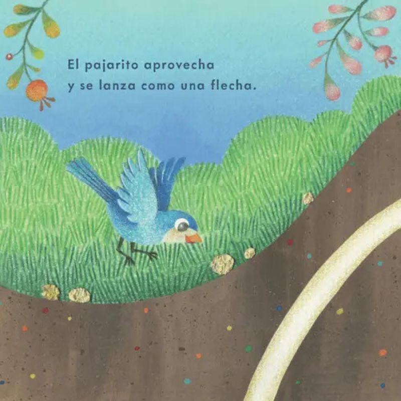 MIGUITAS DE PAN (Nuevo) - Miniatura 4