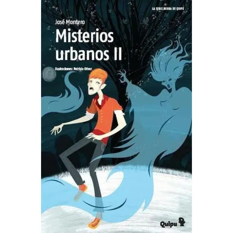 MISTERIOS URBANOS II - SERIE NEGRA