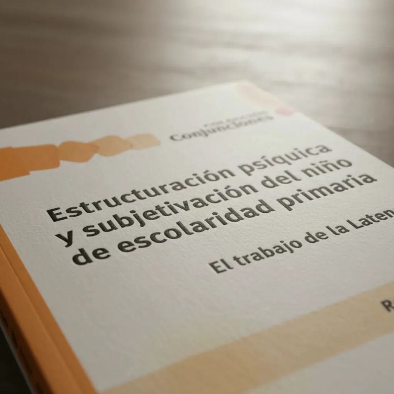 ESTRUCTURACION PSIQUICA Y SUBJETIVACION DEL NIÑO DE ESCOLARI (Nuevo) - Miniatura 5