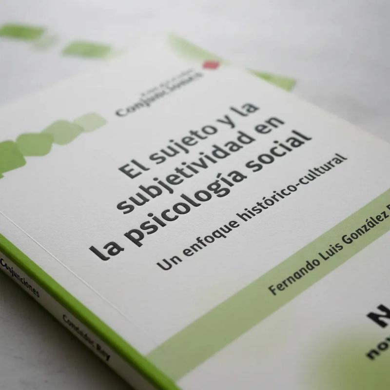 SUJETO Y LA SUBJETIVIDAD EN LA PSICOLOGIA SOCIAL,EL (Nuevo) - Miniatura 3