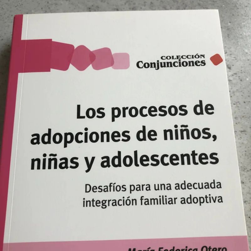 PROCESOS DE ADOPCIONES DE NIÑOS, NIÑAS Y ADOLESCENTES, LOS (Nuevo) - Miniatura 4
