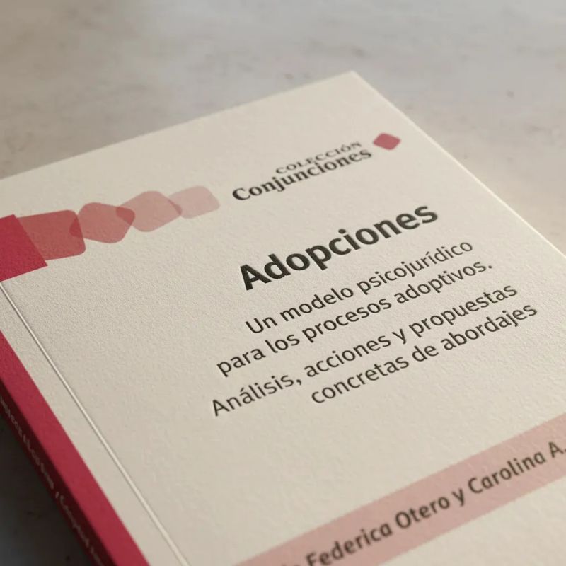 ADOPCIONES - UN MODELO PSICOJURIDICO PARA LOS PROCESOS ADOPTIVOS (Nuevo) - Miniatura 4
