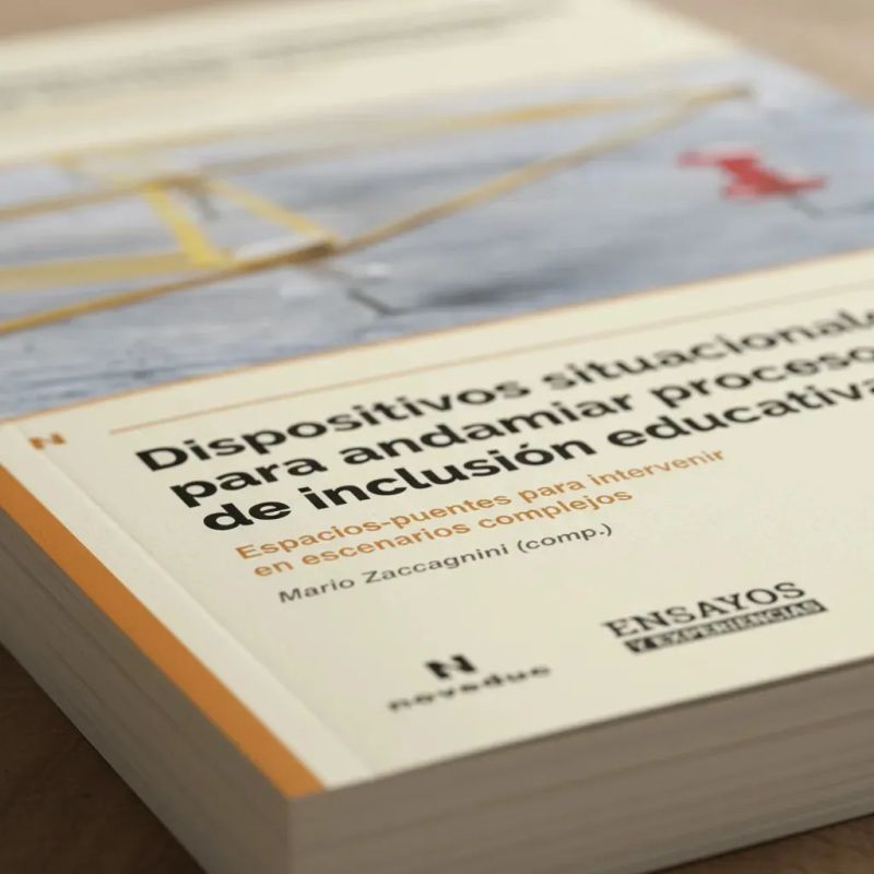 DISPOSITIVOS SITUACIONALES PARA ANDAMIAR PROCESOS DE INCLUSION EDUCATIVA (Nuevo) - Miniatura 3