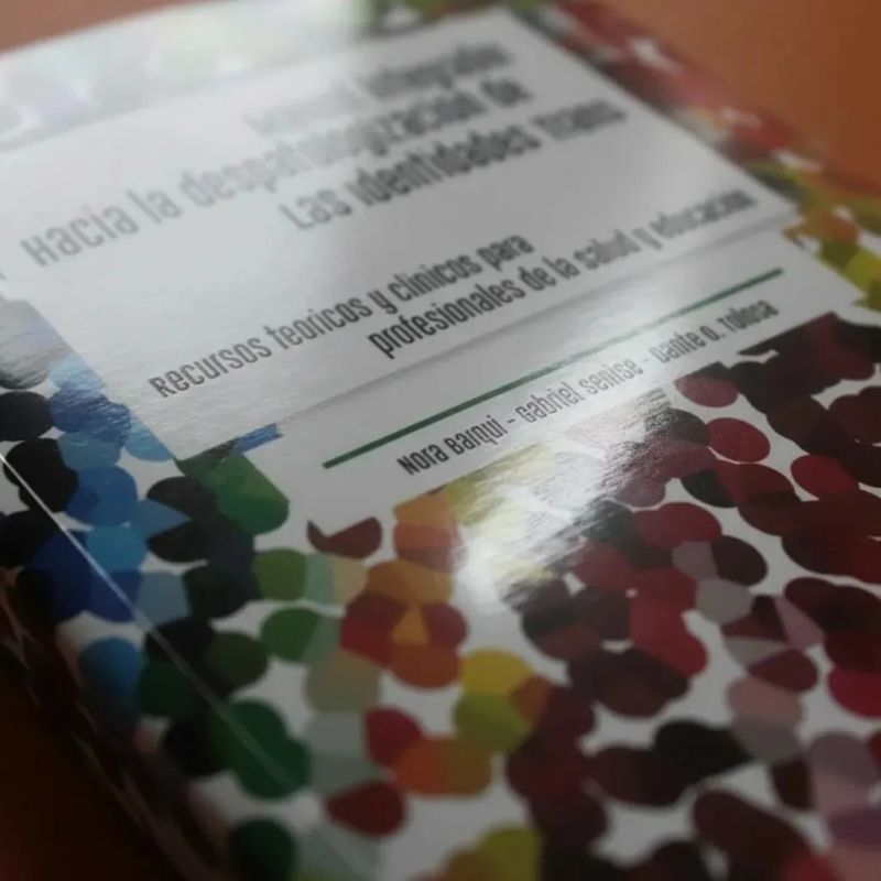 MANUAL INTEGRADOR HACIA LA DESPATOLOGIZACION DE LAS IDENTIDADES TRANS (Nuevo) - Miniatura 4