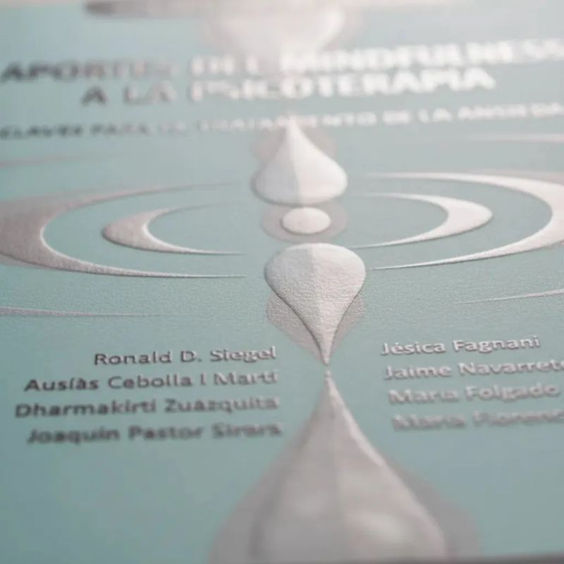 APORTES DEL MINDFULNESS A LA PSICOTERAPIA - CLAVES PARA EL TRATAMIENTO DE LA ANSIEDAD (Nuevo) - Miniatura 3