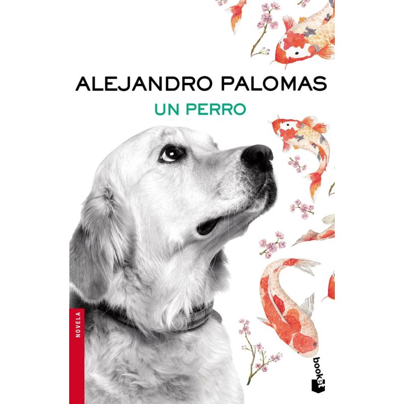 UN PERRO (Nuevo)