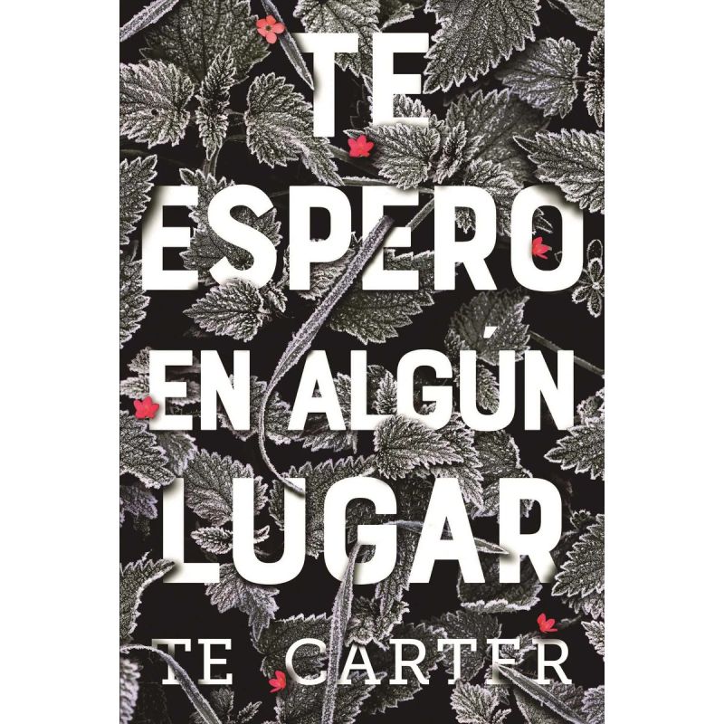 TE ESPERO EN ALGUN LUGAR (Nuevo)