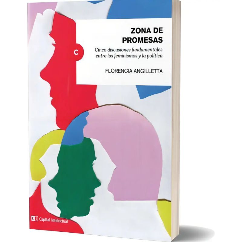 ZONA DE PROMESAS. CINCO DISCUSIONES FUNDAMENTALES ENTRE LOS FEMINISMOS Y LA POLITICA (Nuevo)