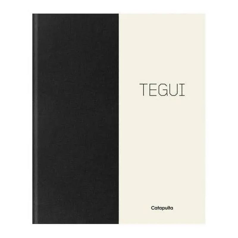 TEGUI - APENDICE EN INGLES (Nuevo)